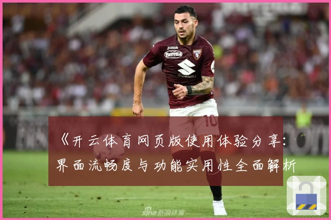 《开云体育网页版使用体验分享：界面流畅度与功能实用性全面解析》