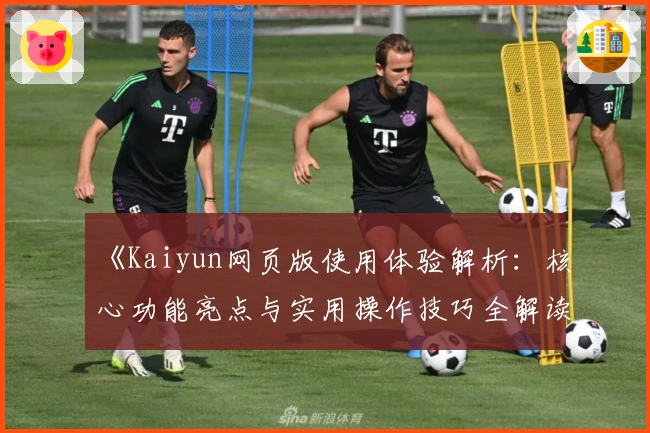 《Kaiyun网页版使用体验解析：核心功能亮点与实用操作技巧全解读》
